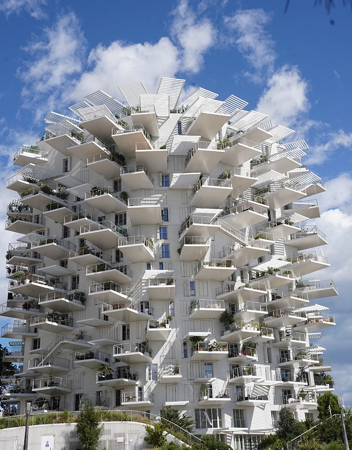 lexnot-amenagement-construction-arbre-blanc